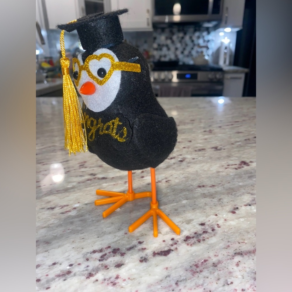 GRADUATION | Festive Congrats Bird Decor with Glitter Glasses and Grad Cap - Picture 5 of 8